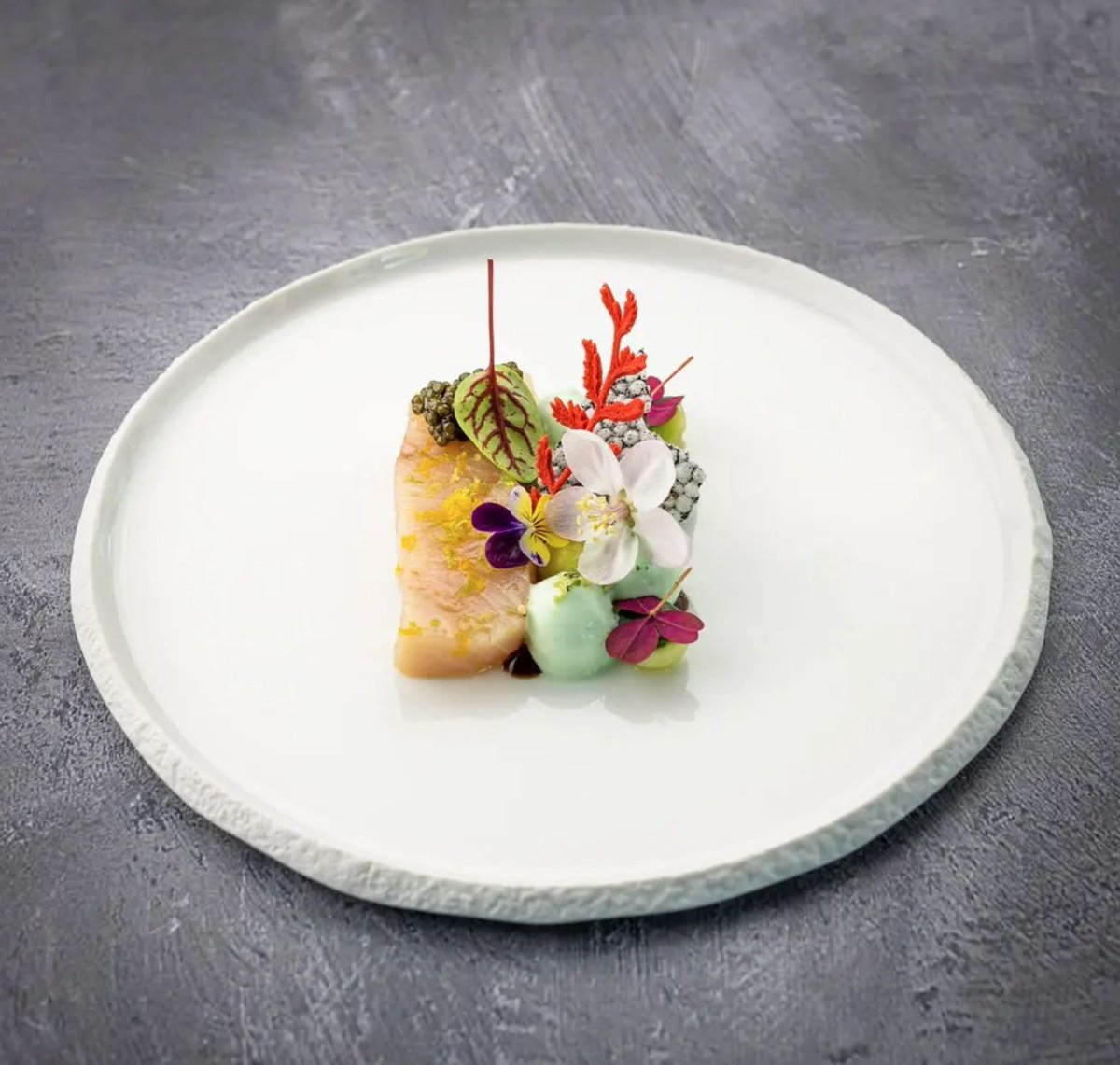 Pordamsa's tweet image. Kingfish &amp;amp; cucumber⁠ in Coral Collection. Simply elegance. 

@aandepoel - Stefan Van Sprang

#pordamsa #pordamsaplates #handmadetableware #tableware #chefs #chefslife #chefstalk #culinaireinspiration #hautecuisine #finedining #gastronomy