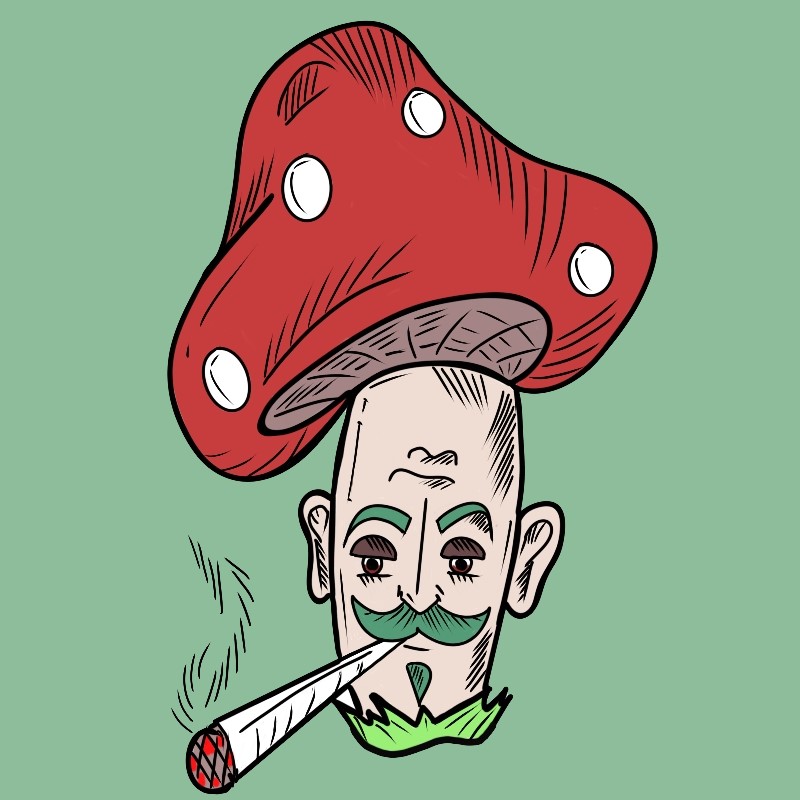 SHROOMS WTF tweet media