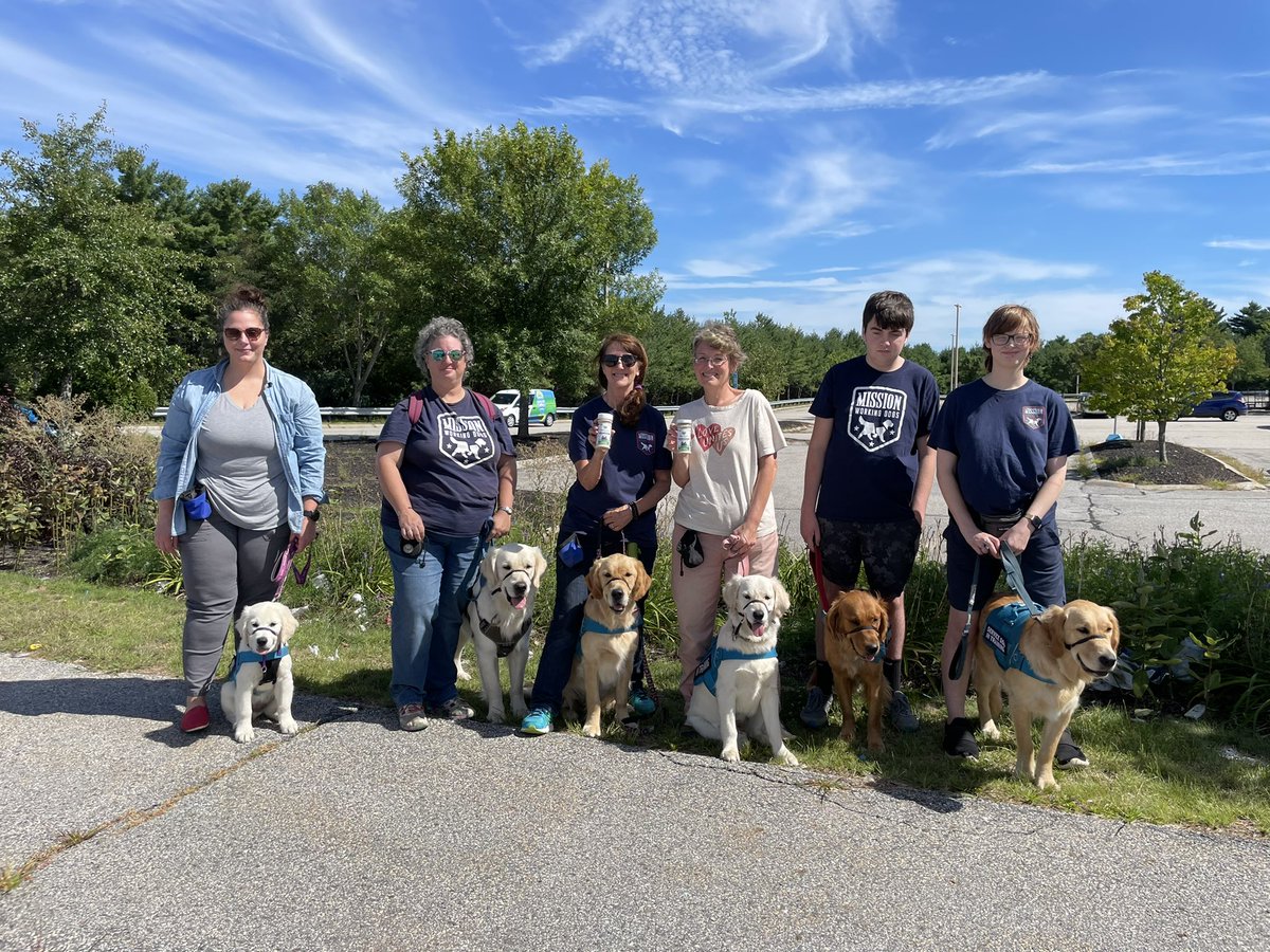 CLGardner19's tweet photo. There are a lot of teeth to keep clean in my pack. I love that VetriScience Perio Support powder is such an easy and effective way to keep smiles bright and breath smelling fresh for Doug and all my Service Dogs in Training.
https://t.co/kysiE90Igp
#vetriscience #sponsored https://t.co/YnOuJ3hsaO