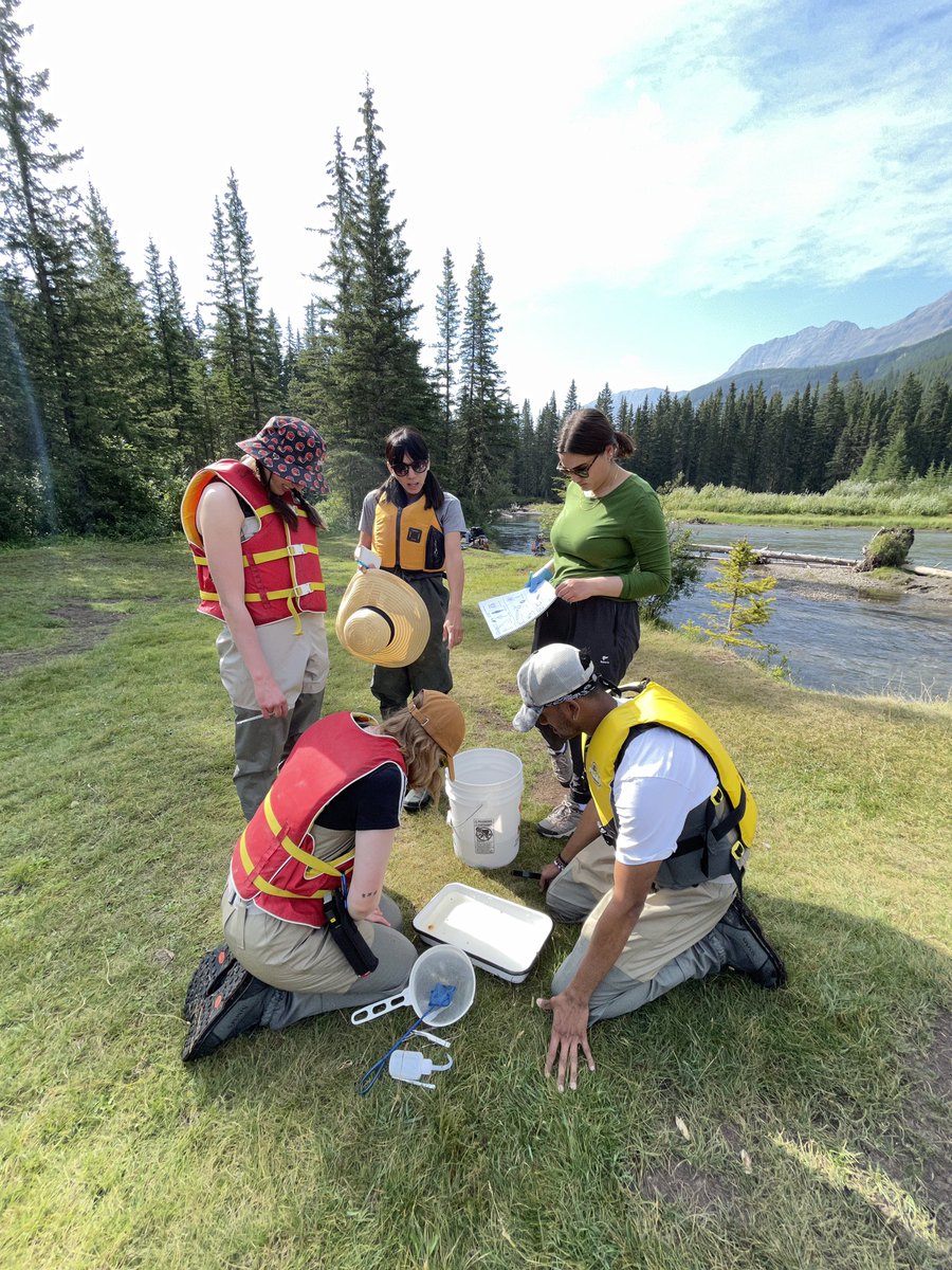 sarahnneumann's tweet photo. had the best time this week counting inverts, identifying plants, and the like in Kananaskis in #ensc401 https://t.co/4UhhXW2G6z