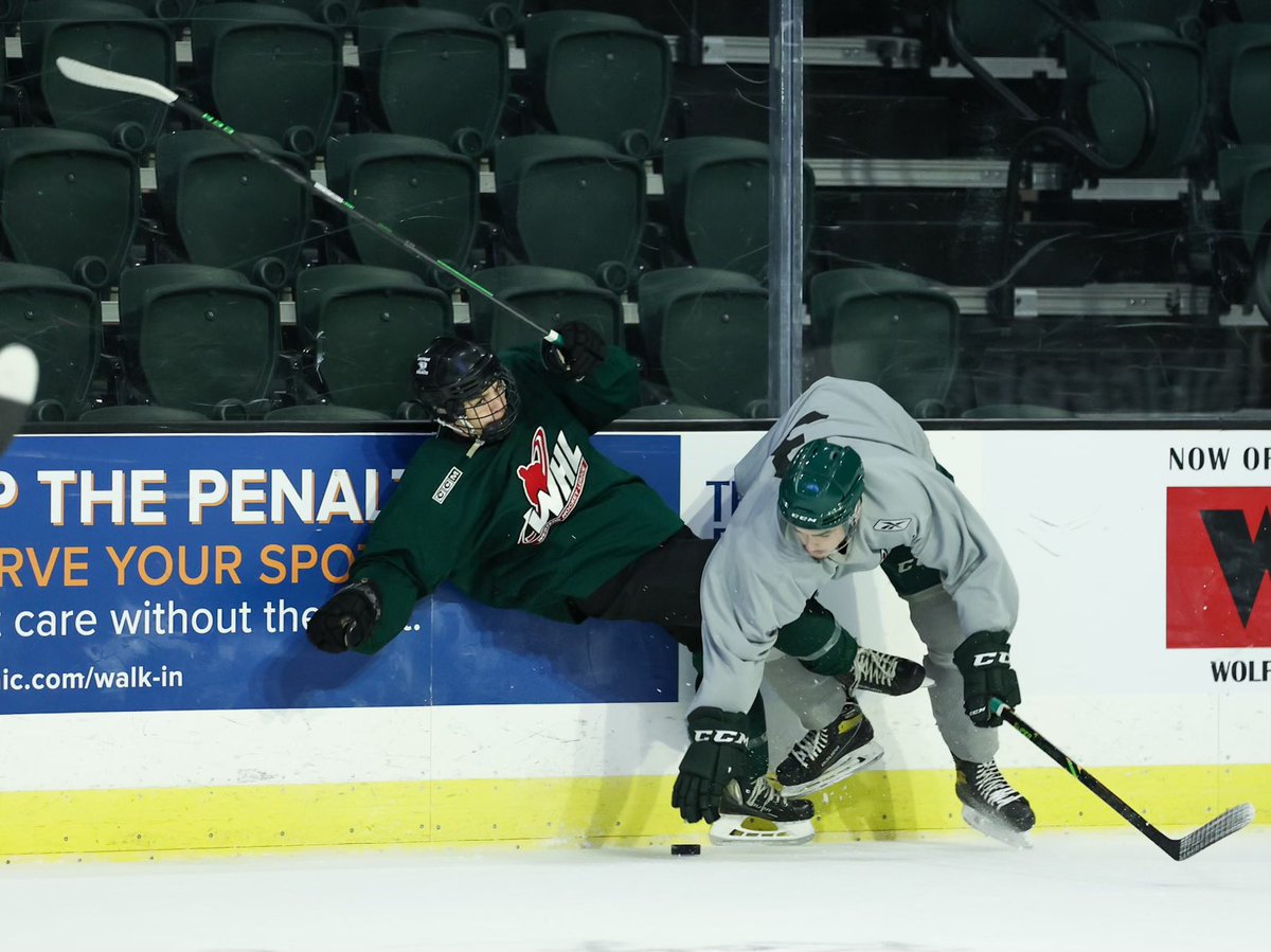 WHLsilvertips's tweet photo. All in a morning’s work.
📸: @kristinophotos
#TipsCamp x @bodieskneaded https://t.co/W85u3F51m8