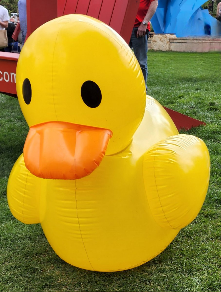 Naomi McMahon tweet media