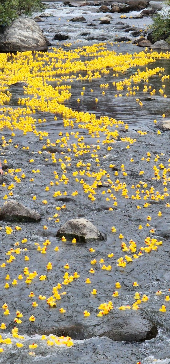 Naomi McMahon tweet media