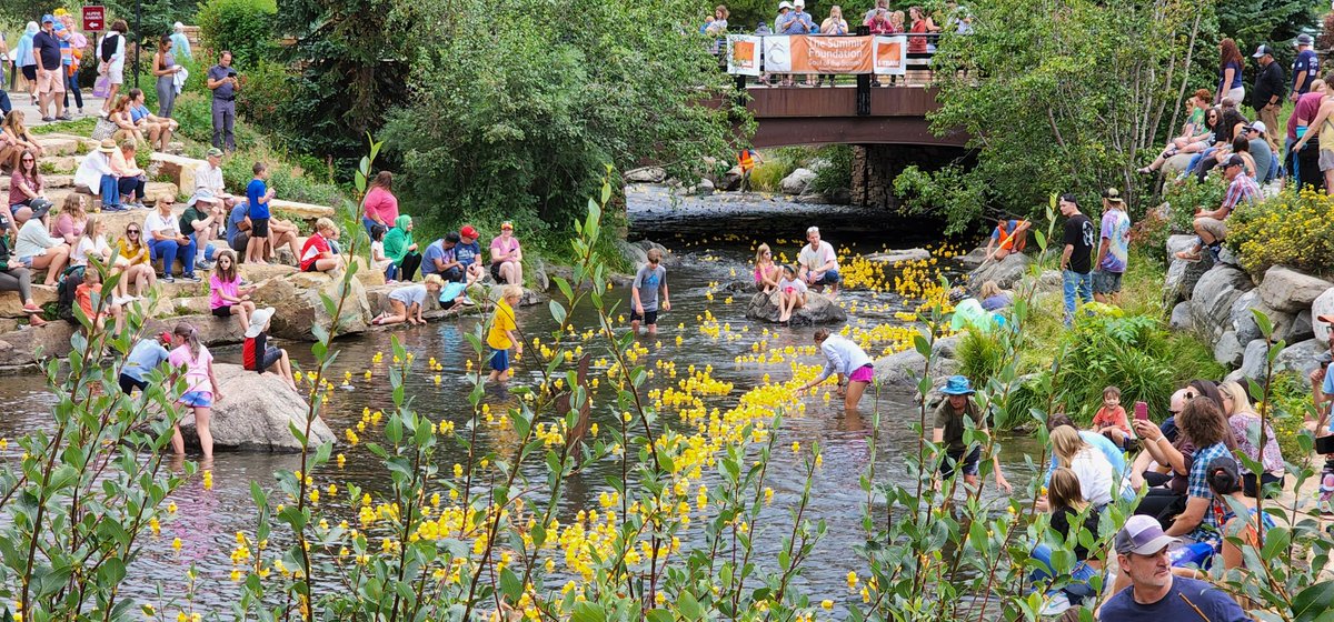 Naomi McMahon tweet media