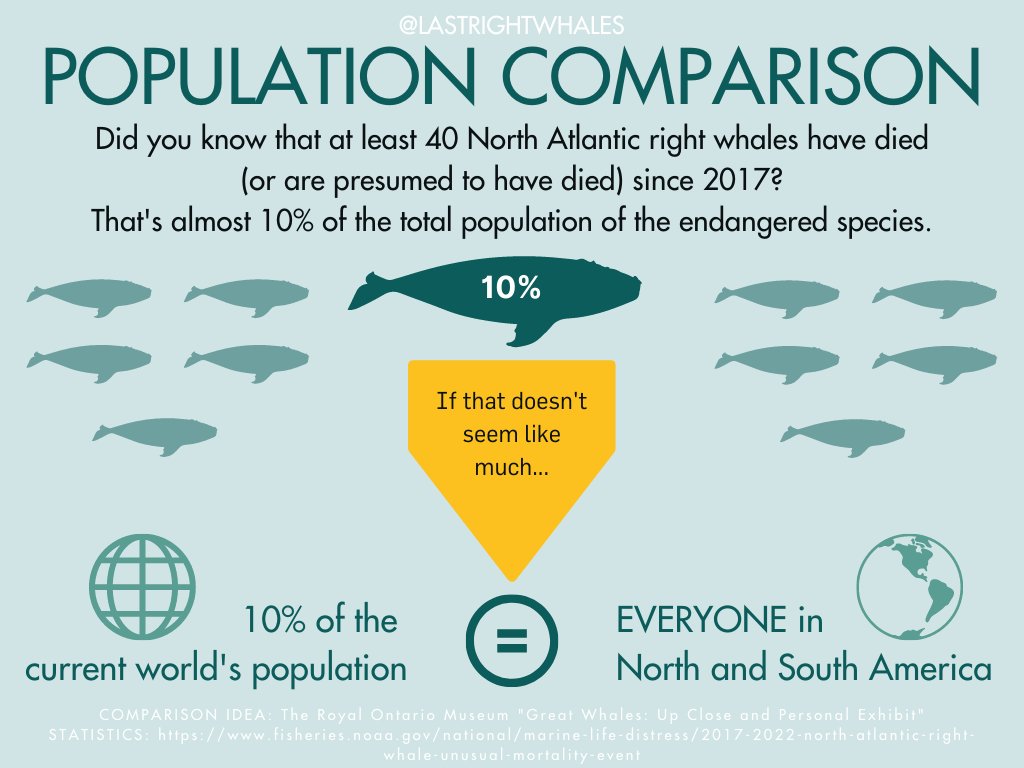 HitPlayProd's tweet photo. Did you know that at least 40 North Atlantic right whales have died since 2017? That's almost 10% of the total population of the endangered species. If that doesn't sound like much, if we compare that to 10% of the human population, it represents everyone in North &amp; South America https://t.co/NFyoth6jAC
