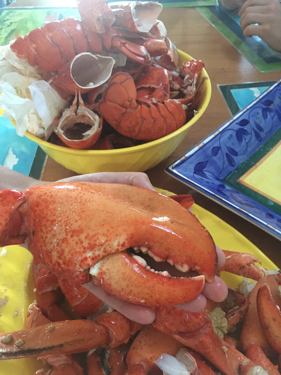 Bless Acadian Uncles - they do not play when it comes to lobster ❤️