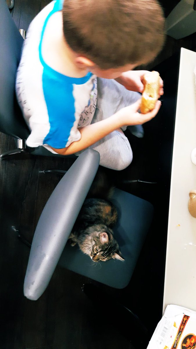 Юлия Сергеевна tweet media