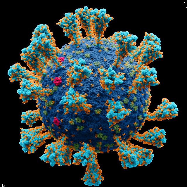Azodoh's tweet image. DO VIRUSES EXIST?

victorazodoh.substack.com/p/do-viruses-e…