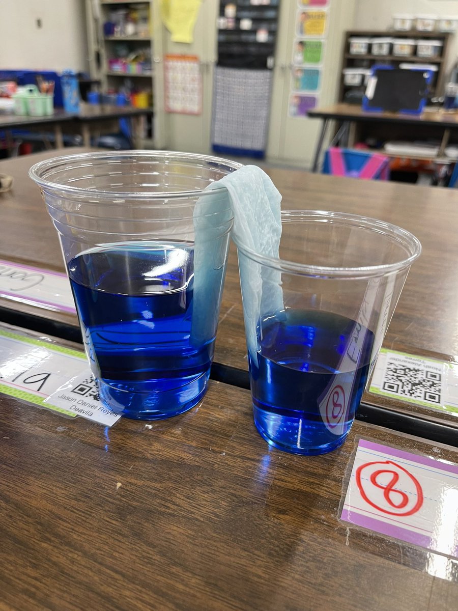 missjblank's tweet photo. 2nd graders learning about capillary action! We opened up our notes from 1st grade and made hypotheses based upon our learning from last year. Ss loved watching the water travel from cup to cup! #WeAreRUSD @villacortarusd @RowlandSchools https://t.co/MwCiVLCQKZ