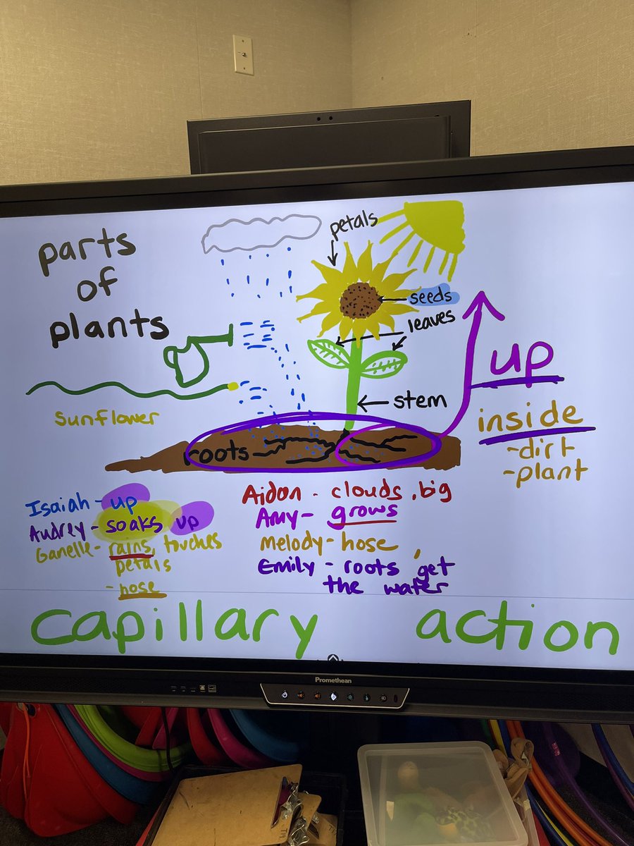 missjblank's tweet photo. 2nd graders learning about capillary action! We opened up our notes from 1st grade and made hypotheses based upon our learning from last year. Ss loved watching the water travel from cup to cup! #WeAreRUSD @villacortarusd @RowlandSchools https://t.co/MwCiVLCQKZ