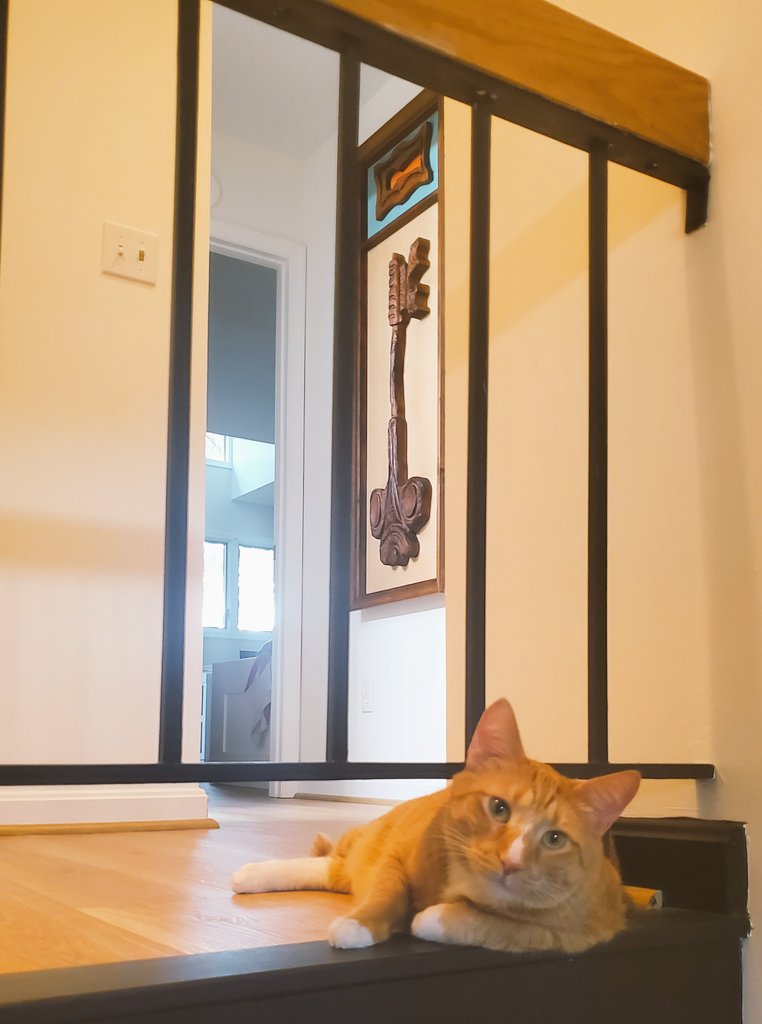 NTNLcats's tweet photo. Vander's new #Witco piece is also his favorite @rushtheband song: "Lock and Key."
#VanderCGJohnson #CatsOfTwitter https://t.co/rnr0zimVab