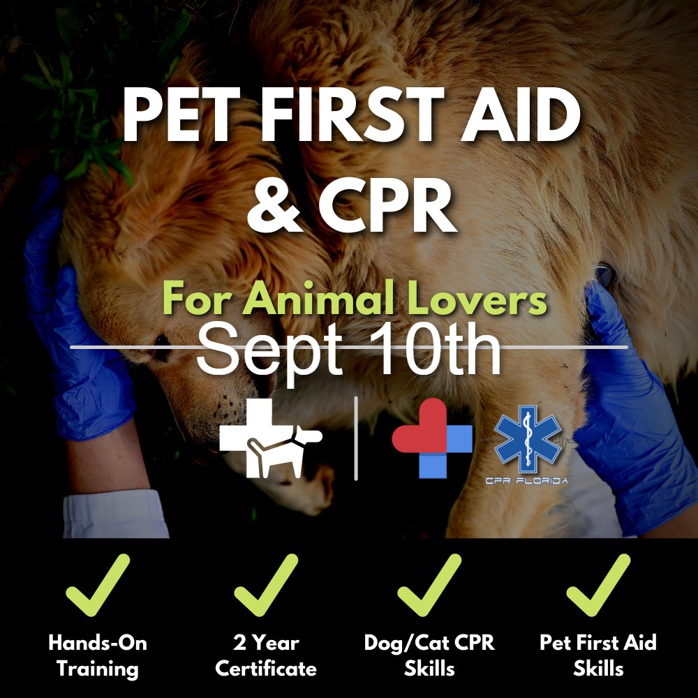 floridacpraed's tweet photo. Save your dog cat or puppy learn on September 10th in West Palm Beach pet CPR and first aid skills and be certified in one day. https://t.co/qbi0fl6Gl7 #petcpr #petcprandfirstaid https://t.co/GOu6vWMHnP