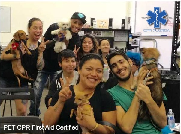 floridacpraed's tweet photo. Save your dog cat or puppy learn on September 10th in West Palm Beach pet CPR and first aid skills and be certified in one day. https://t.co/qbi0fl6Gl7 #petcpr #petcprandfirstaid https://t.co/GOu6vWMHnP