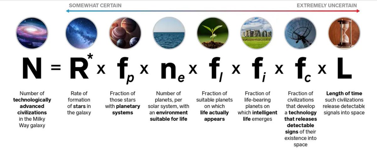 Pizza4Ape's tweet image. RIP ❤