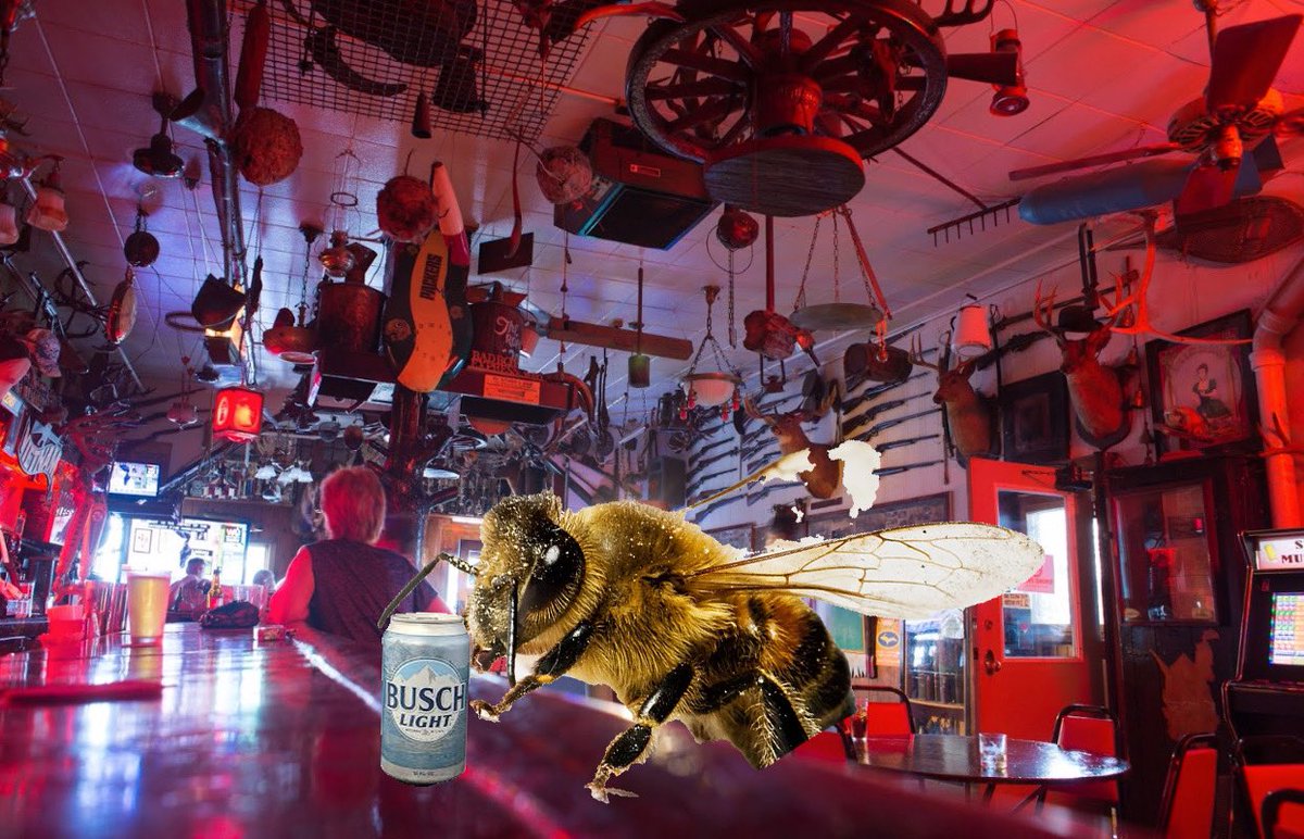 LaborDayBees's tweet photo. Stubbs for one? https://t.co/QwNh61WnuF