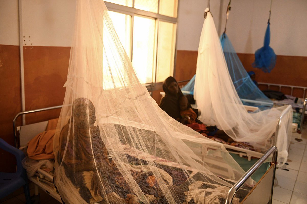 Tom Fletcher tweet media