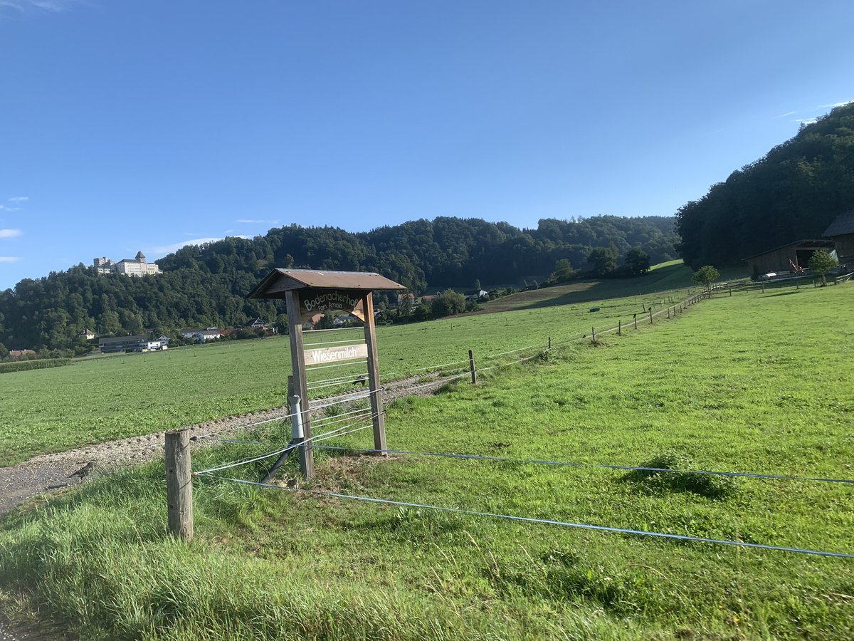 Fernando Riaño tweet media