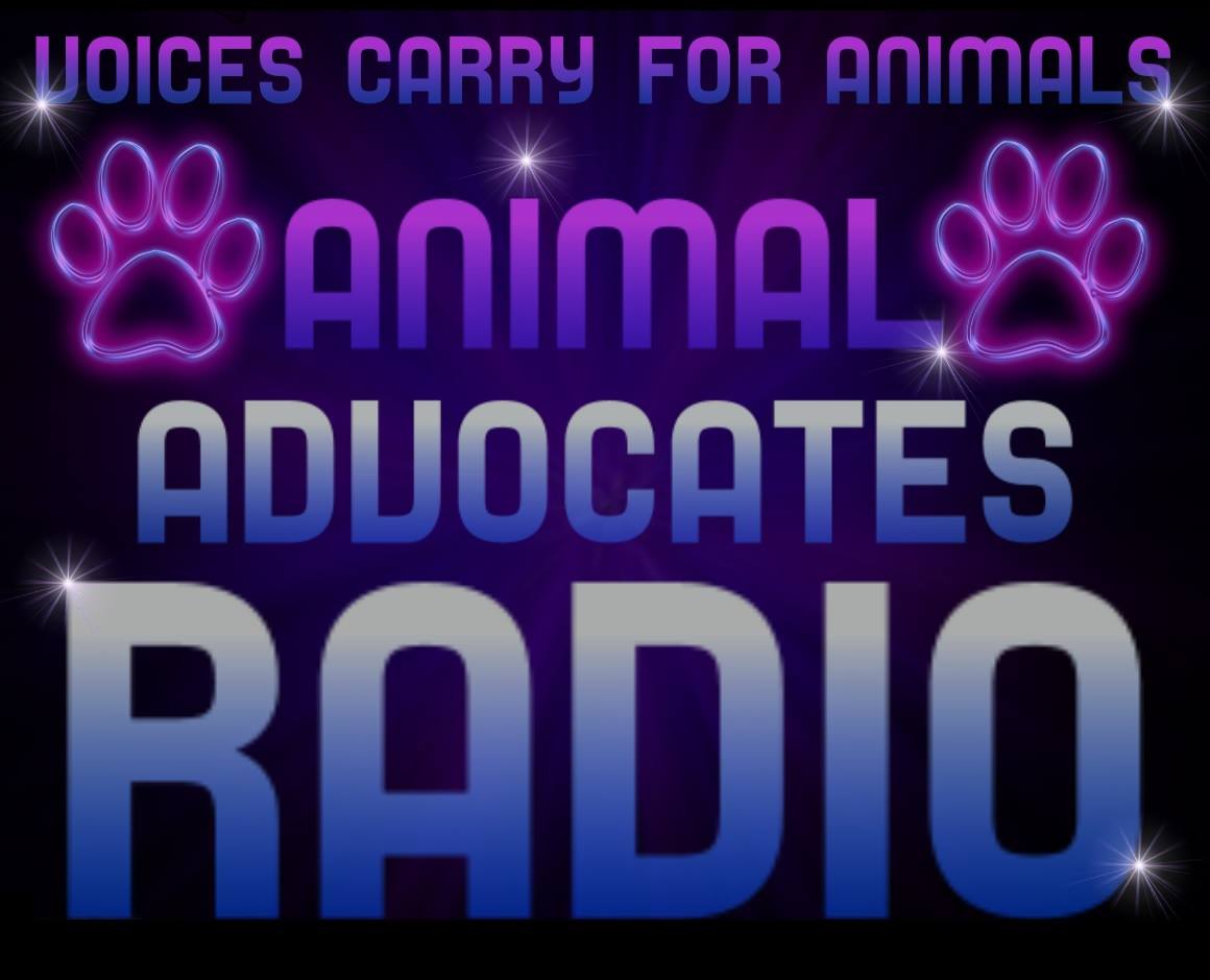 DebbieDahmer's tweet photo. #animals #AnimalAbuse #AnimalWelfare #animaladvocatesradio #blogtalkradio #StopAnimalCruelty #stopanimalabuse #BEAVOICEFORTHEVOICELESS #animaladvocacy #animaladvocate #animalactivist #animalprotector #podcast #theppjgazette #helpanimals #voiceforanimals #justiceforanimals https://t.co/gwZdem6ybs