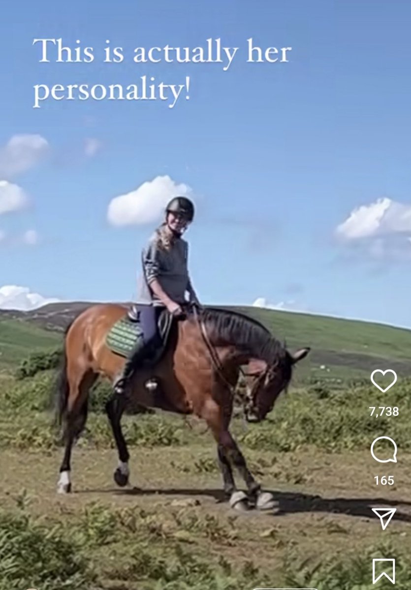 lifewithalula's tweet photo. THIS is why equine behavior education matters. Horse demonstrates classic signs of stress, owner says it's "just her personality" because "she's a mare", and thousands of people leave comments agreeing that an obviously overstimulated animal is very happy. https://t.co/TWr2lVyv6y