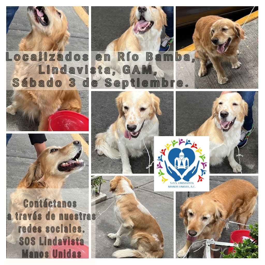 S.O.S. Lindavista Manos Unidas, AC tweet media