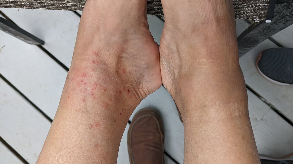 Sam Telford tweet media