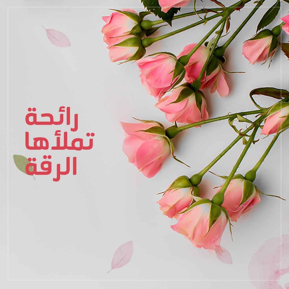 AkaleelApp's tweet photo. في لحظات الفرحة ننثر بتلات الزهور الناعمة و نع��ر عن حبنا بكل احساس وشعور.
#flowers #bloom #rose #أكاليل #الدمام #ورد https://t.co/1QixI2q1NB
