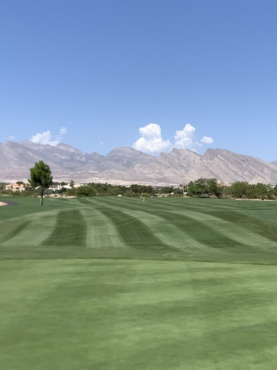 ChaneyBrett's tweet photo. Opening day on Palm Course. Overseed 22 in full swing. https://t.co/BaxJsJhIuV