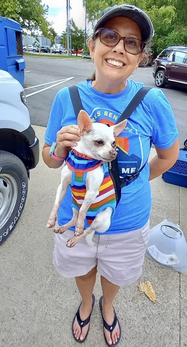 TNProverbs1210's tweet photo. Whooohoooo! Time to celebrate!! “ 39” pre approved adoptions or trial runs.. SO excited! This pic of Chuckie and his new mom❤️❤️❤️
#NewBeginnings
#LifeGuardsAtWork
https://t.co/OoXGHftDun https://t.co/Oi468s9gmo