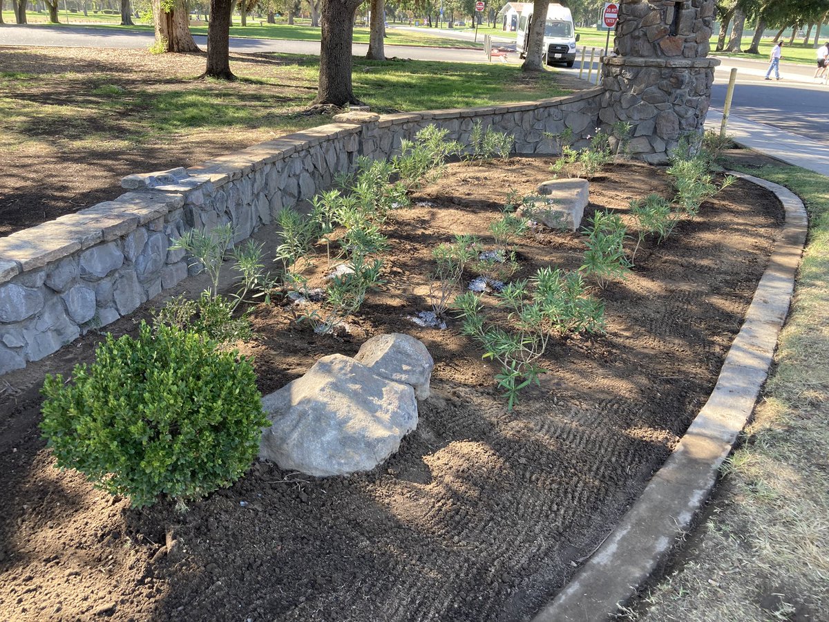 We made some great new friends from Sigma Upsilon - Upsilon Lambda Fraternity &amp; Sorority! Their special service project helped beautify Roeding Park’s entrance off of Olive Ave! @FresnoPARCS <a href="/GazeboGardens22/">Gazebo Gardens</a>