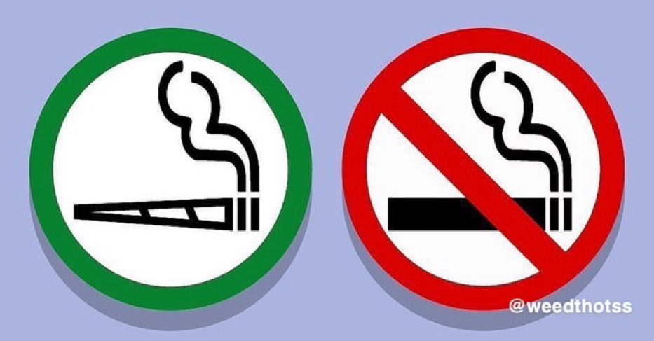 weedthotss's tweet photo. my (future) house rules: https://t.co/9qRWovHF90