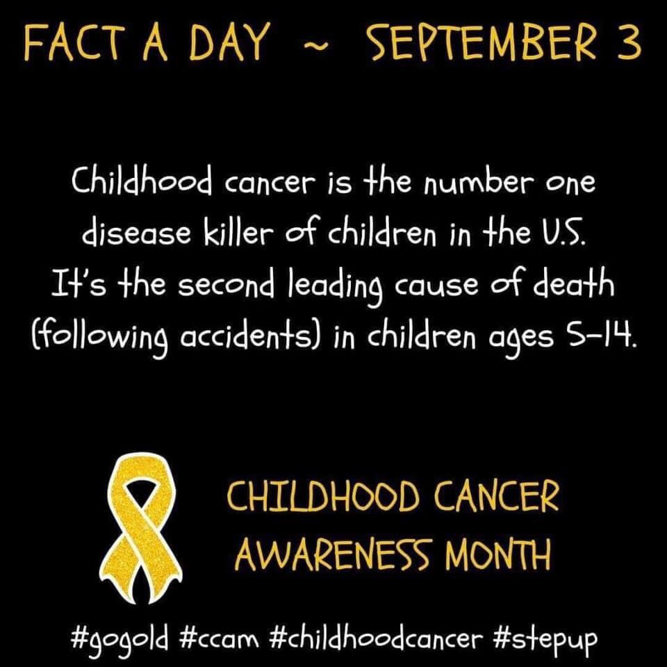 fellcar1's tweet photo. #ChildhoodCancerAwarenessMonth https://t.co/BnsHBPDc3V