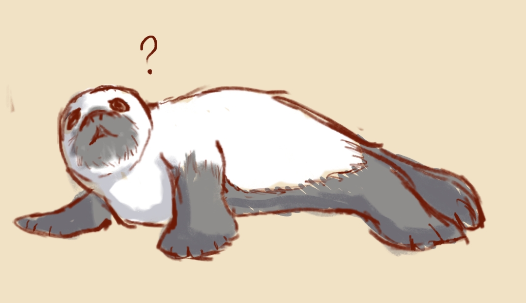 Realized I haven't rlly shown my bb Lynn. Love them, smol bean