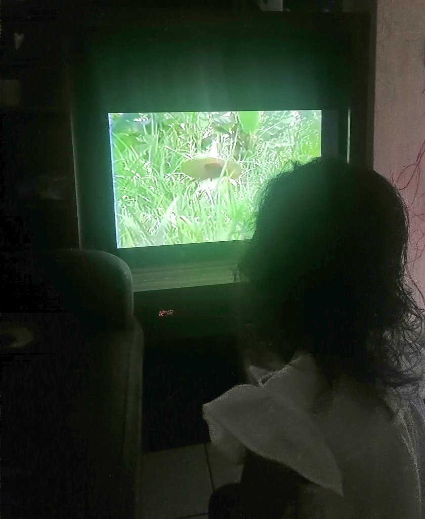 henrygarciame's tweet photo. Mi hija mirando las aventuras del #Cipitio 🧙♂️ https://t.co/OukXHg5pdn