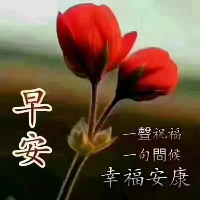 yy520666's tweet photo. https://t.co/4g94LZ1doB