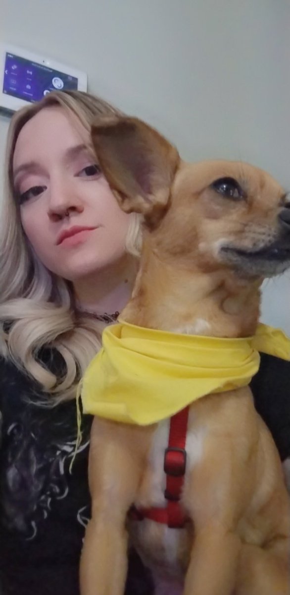 Cheymliss Studios tweet media