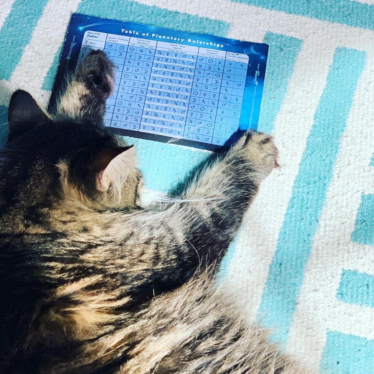 Happy Caturday from Tyche who embraces <a href="/chrisbrennan7/">Chris Brennan</a> table of planetary rulership