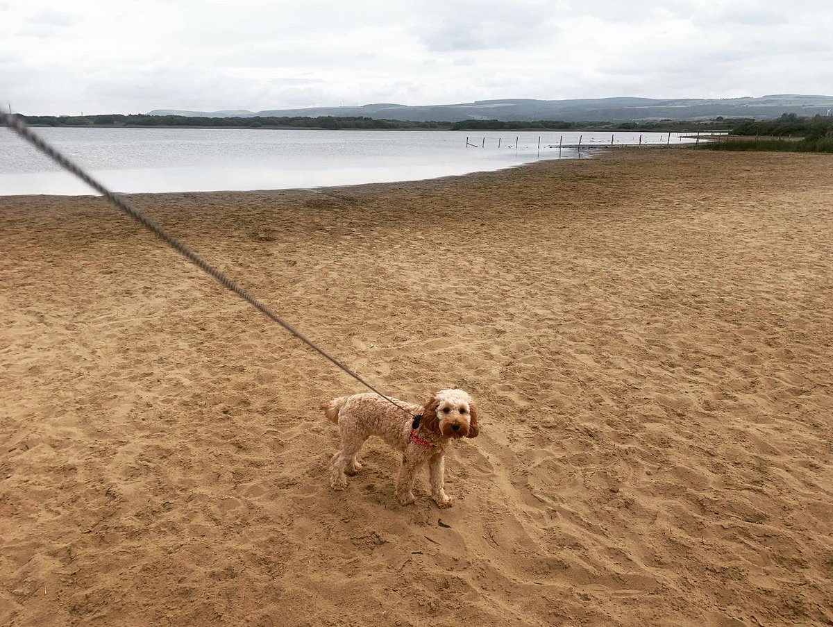 Sarah Jones tweet media