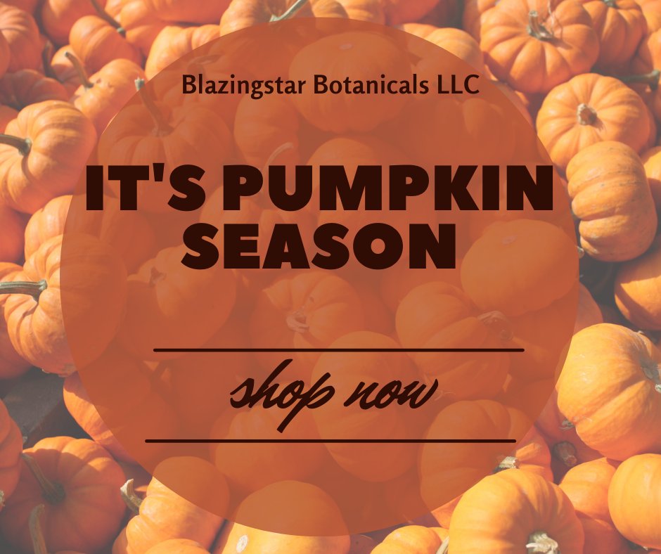 Heather Chamberlain tweet media