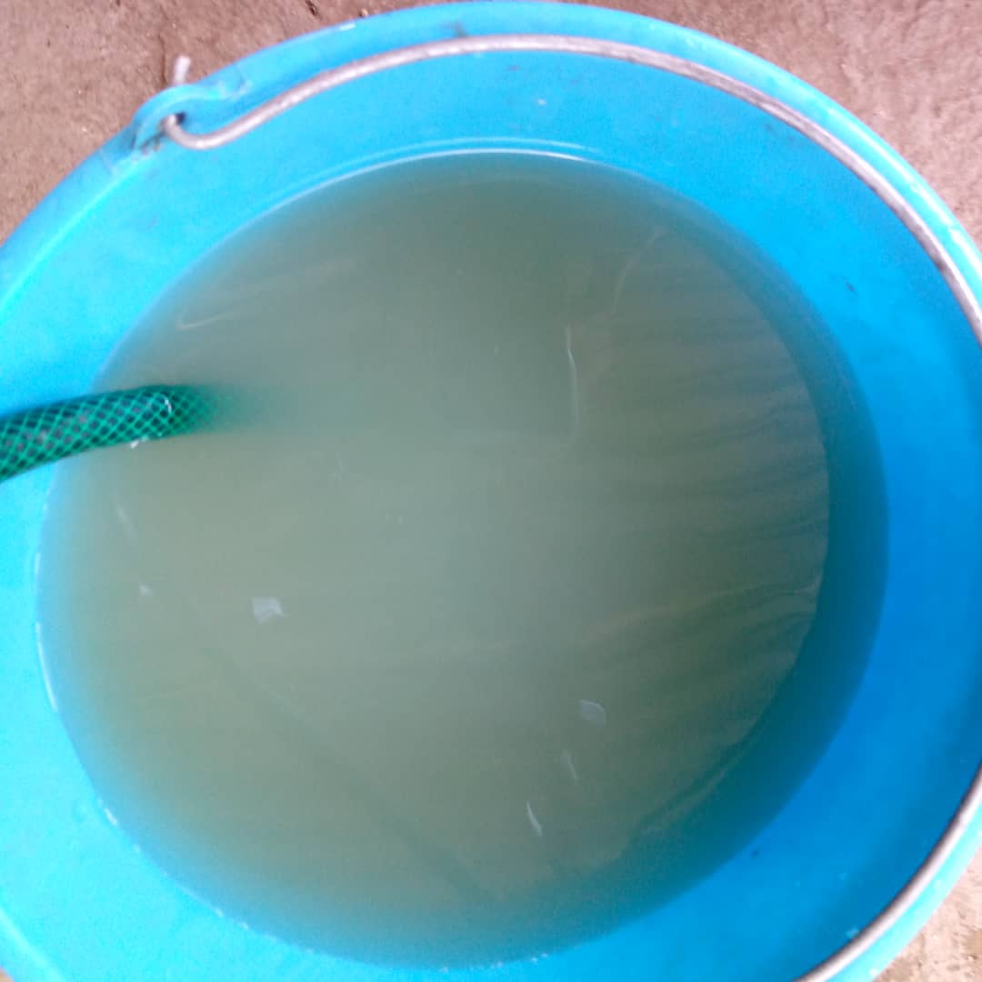 brion_pj's tweet photo. #Sep03 #Higuerote
¿Que se puede hacer con esta agua? No piensan en la salud de las personas. Esto es un problema de hace mucho tiempo que no terminan de solucionar. @HidroCapital2, @AlcaldiaBrion, @MirandaGob, @HectoRodriguez, esto debe solucionarse.
@ActivismoPJ
@Activismopjmir https://t.co/6vBgkXWTgx