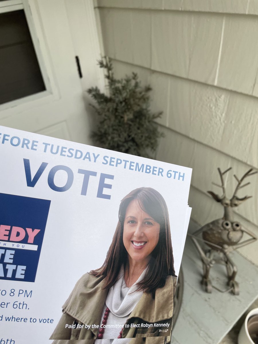 #letsgo! ⁦<a href="/robyn4senate/">Robyn Kennedy</a>⁩ #GOTV  primary voters rock!