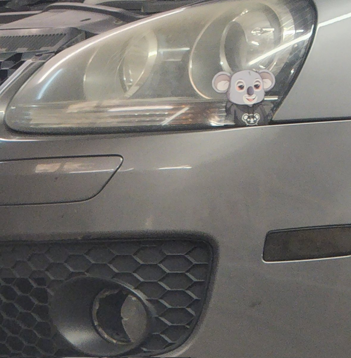 ScottHallaaa's tweet image. .@frankdegods I rock my @KozyKoalasNFT everywhere I go...i would love to be the one to make @y00tsNFT stickers fir everyone!!!!!