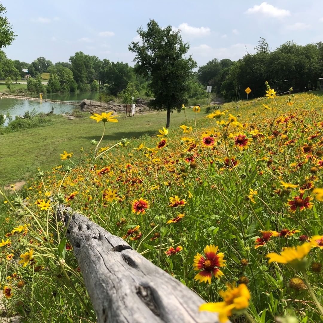 Visit US Parks tweet media