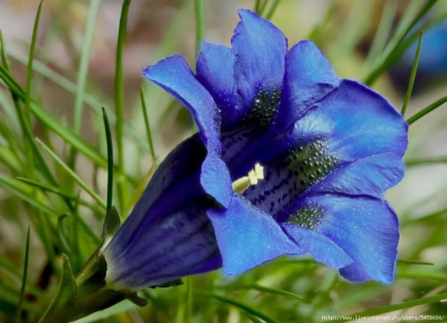 Tierza 🕯 (@birdloved) on Twitter photo 