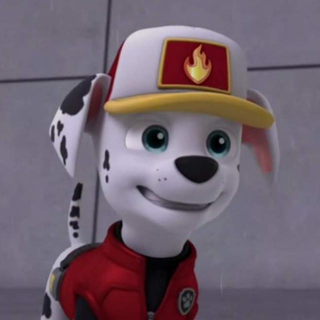 Marshall, Wiki Paw Patrol