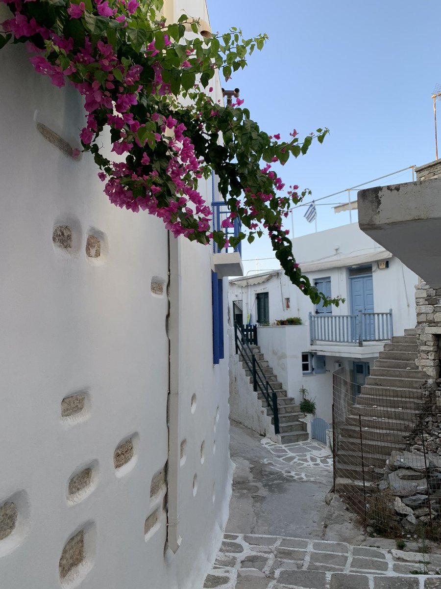 John Ward tweet media