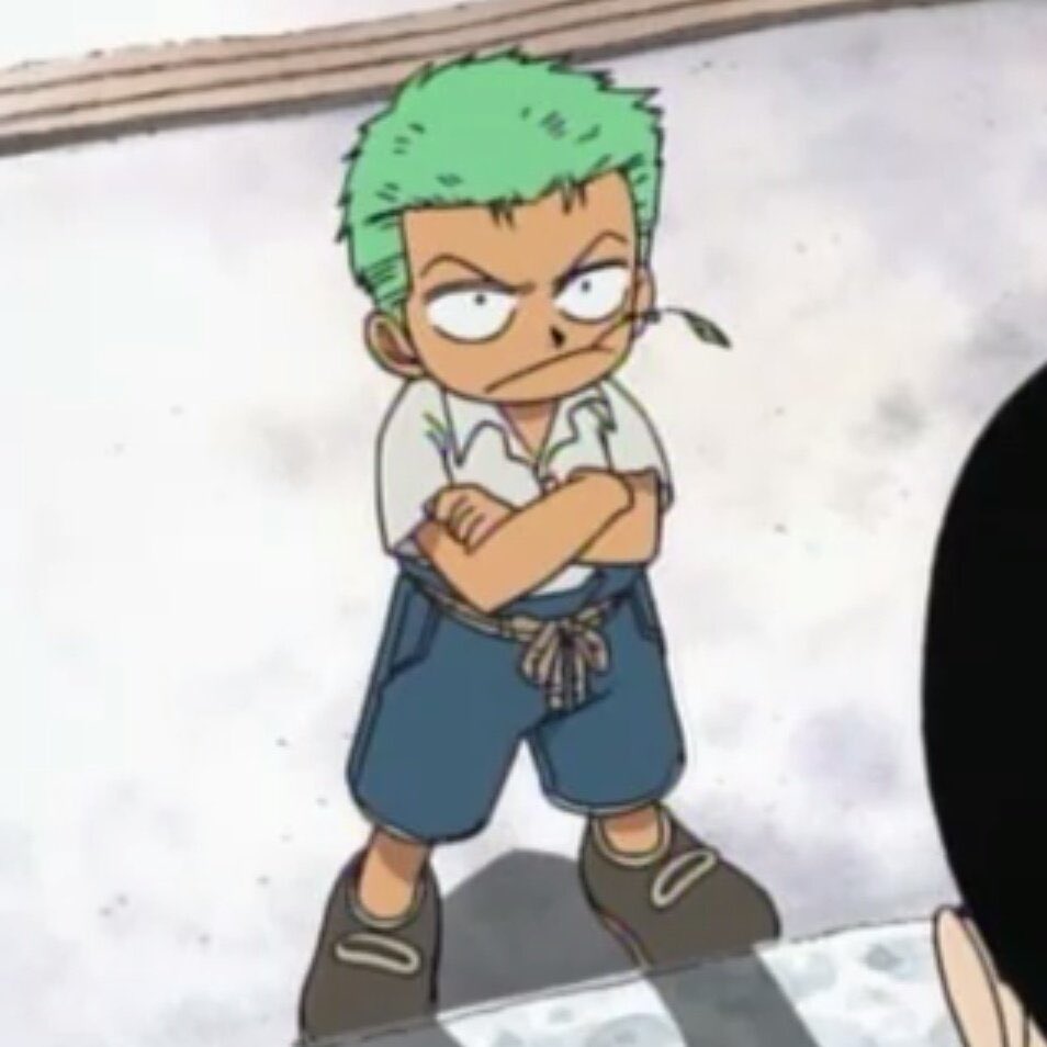 strawhats's tweet photo. Roronoa Zoro https://t.co/Q1BkVM6MWL