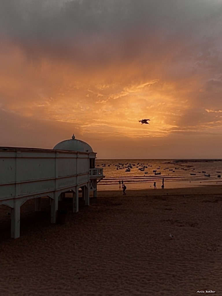 Así es Cádiz desde mi objetivo. #lacaleta #balneariodelapalma #cadiz