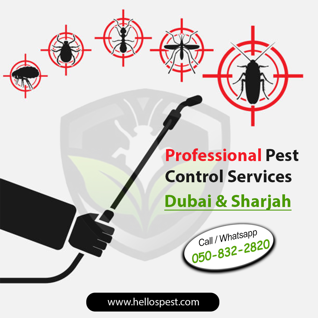 Professional Pest Control Services that cover all types of Pest effectively. Call 050 830 2820 or visit hellospest.com

#Pest #Control #Services #dubai #sharjah #pestcompany