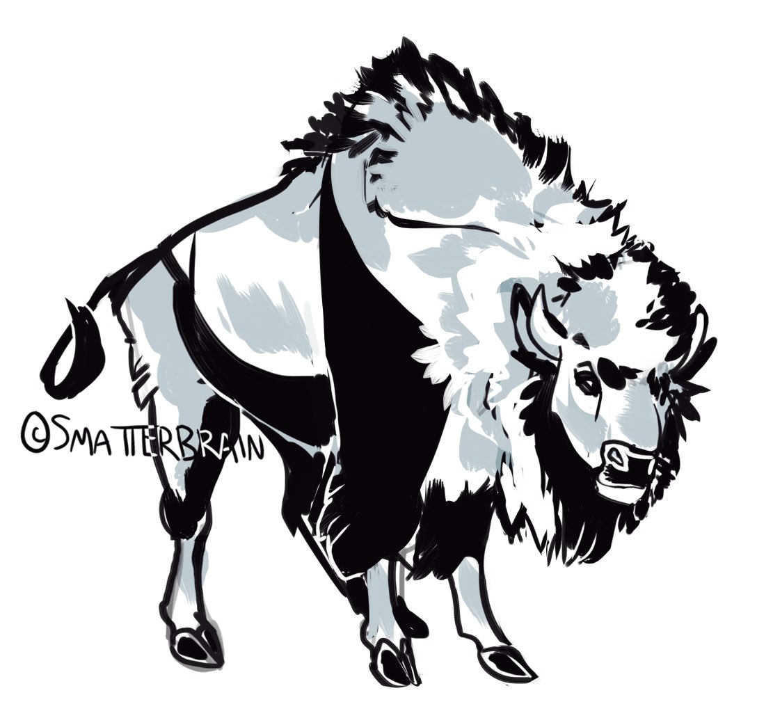 ToadaIIy's tweet image. Bison doodle