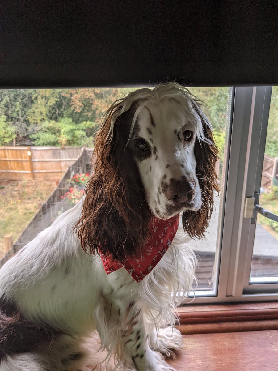Karen380380's tweet photo. #Butterbox Buddy's first week as a #Butternutter has been a success. https://t.co/kHJp2RtgHE